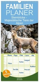Produktbild: Familienplaner 2026 - Steinb&ouml;cke - Majest&auml;tische Tiere der Alpen mit 5 Spalten (Wandkalender, 21 x 45 cm) CALVENDO