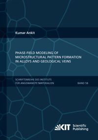 Bild vom Artikel Phase-field modeling of microstructural pattern formation in alloys and geological veins vom Autor Kumar Ankit