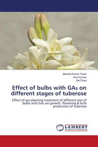 Produktbild: Effect of bulbs with GA&iquest; on different stages of tuberose