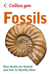 Produktbild: Fossils