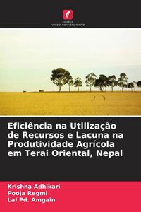 Produktbild: Efici&ecirc;ncia na Utiliza&ccedil;&atilde;o de Recursos e Lacuna na Produtividade Agr&iacute;cola em Terai Oriental, Nepal