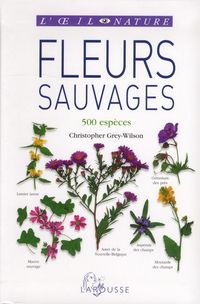 Produktbild: Fleurs sauvages : 500 esp&egrave;ces
