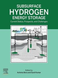 Produktbild: Subsurface Hydrogen Energy Storage