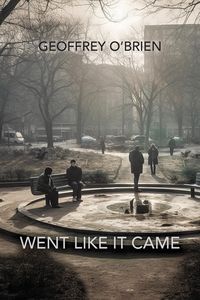 Produktbild: Went Like It Came