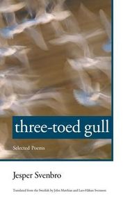 Produktbild: Three-toed Gull