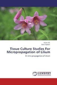 Produktbild: Ali, A: Tissue Culture Studies For Micropropagation of Liliu