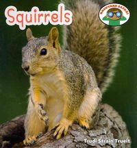 Produktbild: Squirrels