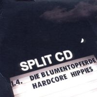 Split EP von Die Blumentopferde