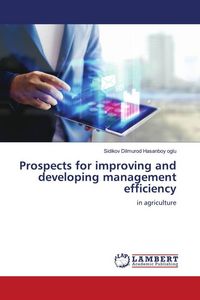 Produktbild: Prospects for improving and developing management efficiency