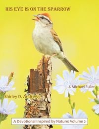 Produktbild: HIS Eye is on the Sparrow