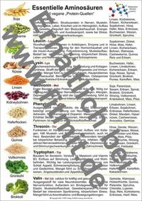 Produktbild: Aminos&auml;uren und vegane Protein-Quellen