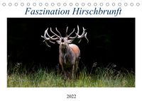 Produktbild: Faszination Hirschbrunft (Tischkalender 2022 DIN A5 quer)