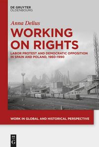 Produktbild: Working on Rights
