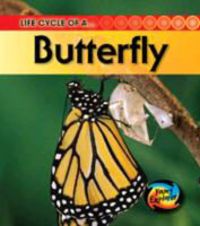 Produktbild: Life Cycle of a Butterfly