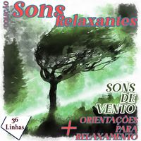 Produktbild: Cole&ccedil;&atilde;o Sons Relaxantes - sons de vento