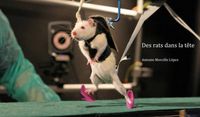 Produktbild: Des rats dans la t&ecirc;te