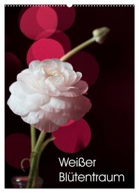 Produktbild: Wei&szlig;er Bl&uuml;tentraum (Wandkalender 2026 DIN A2 hoch), CALVENDO Monatskalender