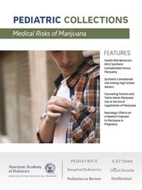 Produktbild: Medical Risks of Marijuana