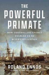 Produktbild: The Powerful Primate