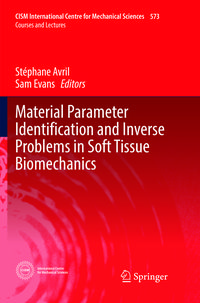 Produktbild: Material Parameter Identification and Inverse Problems in Soft Tissue Biomechanics