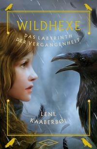 Produktbild: Wildhexe - Das Labyrinth der Vergangenheit