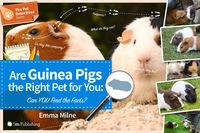 Produktbild: Are Guinea Pigs the Right Pet for You