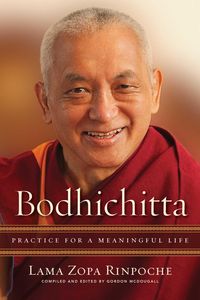 Produktbild: Bodhichitta: Practice for a Meaningful Life