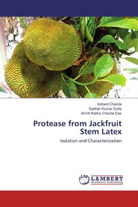 Produktbild: Protease from Jackfruit Stem Latex