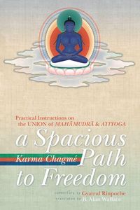 Produktbild: A Spacious Path to Freedom