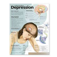 Produktbild: Understanding Depression Anato