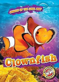 Produktbild: Clownfish