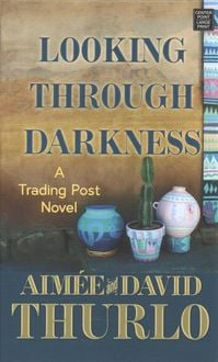 Produktbild: Looking Through Darkness
