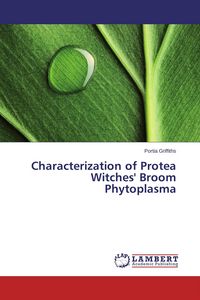 Produktbild: Characterization of Protea Witches' Broom Phytoplasma
