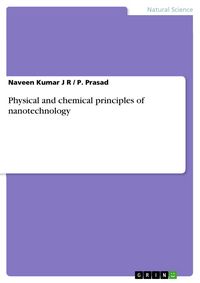 Produktbild: Physical and chemical principles of nanotechnology