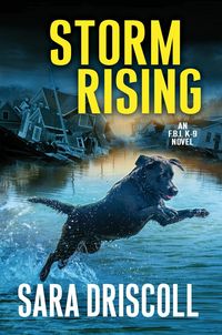 Produktbild: Storm Rising