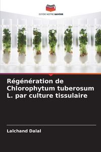 Produktbild: R&eacute;g&eacute;n&eacute;ration de Chlorophytum tuberosum L. par culture tissulaire