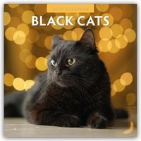 Produktbild: Black Cats &ndash; Schwarze Katzen 2027 &ndash; 16-Monatskalender
