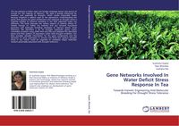 Produktbild: Gene Networks Involved In Water Deficit Stress Response In Tea