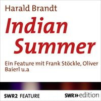 Bild vom Artikel Indian Summer vom Autor Harald Brandt
