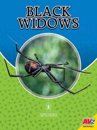 Produktbild: Black Widows