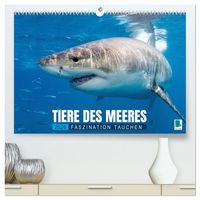 Produktbild: Tiere des Meeres: Faszination Tauchen (hochwertiger Premium Wandkalender 2026 DIN A2 quer), Kunstdruck in Hochglanz