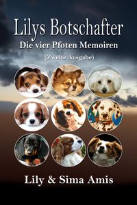 Produktbild: Lilys Botschafter
