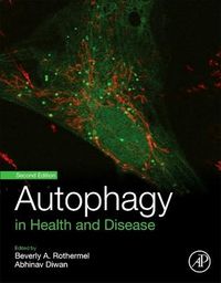 Produktbild: Autophagy in Health and Disease
