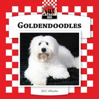Produktbild: Goldendoodles