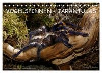 Produktbild: Vogelspinnen - Tarantulas (Tischkalender 2027 DIN A5 quer), CALVENDO Monatskalender
