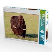 Produktbild: CALVENDO Puzzle Yak Bulle | 1000 Teile Lege-Gr&ouml;&szlig;e 64x48cm Foto-Puzzle f&uuml;r gl&uuml;ckliche Stunden