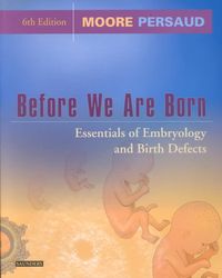 Produktbild: Before We Were Born