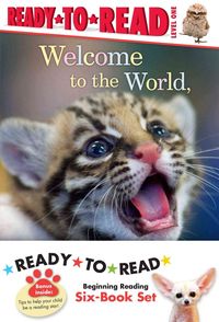Produktbild: Zooborns Ready To Read Vl 6pk