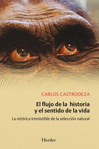 Produktbild: El flujo de la historia y el sentido de la vida
