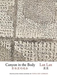 Produktbild: Canyon in the Body